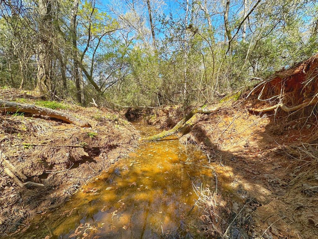 25 Ac Cr 134, Leona, Texas image 2