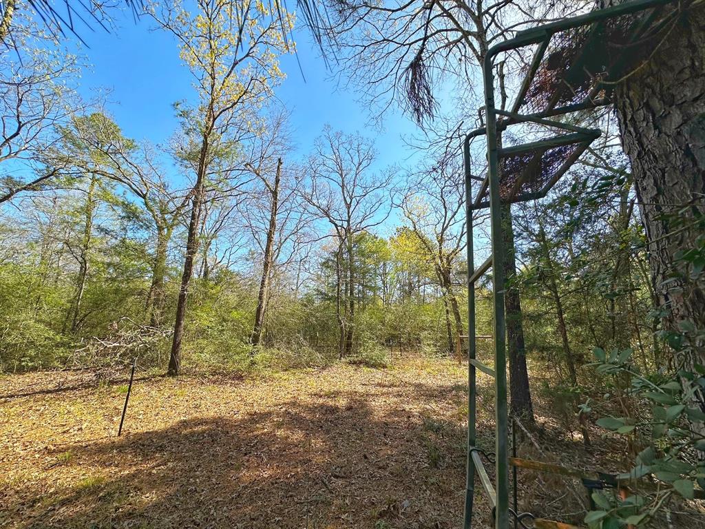 25 Ac Cr 134, Leona, Texas image 10