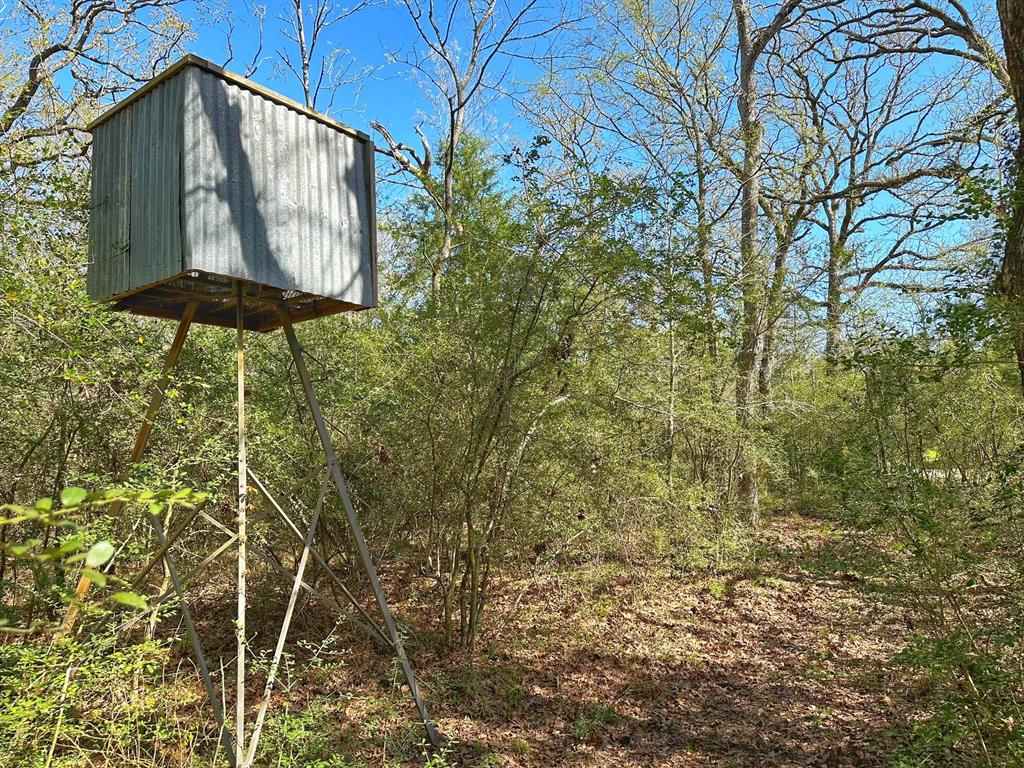 25 Ac Cr 134, Leona, Texas image 6