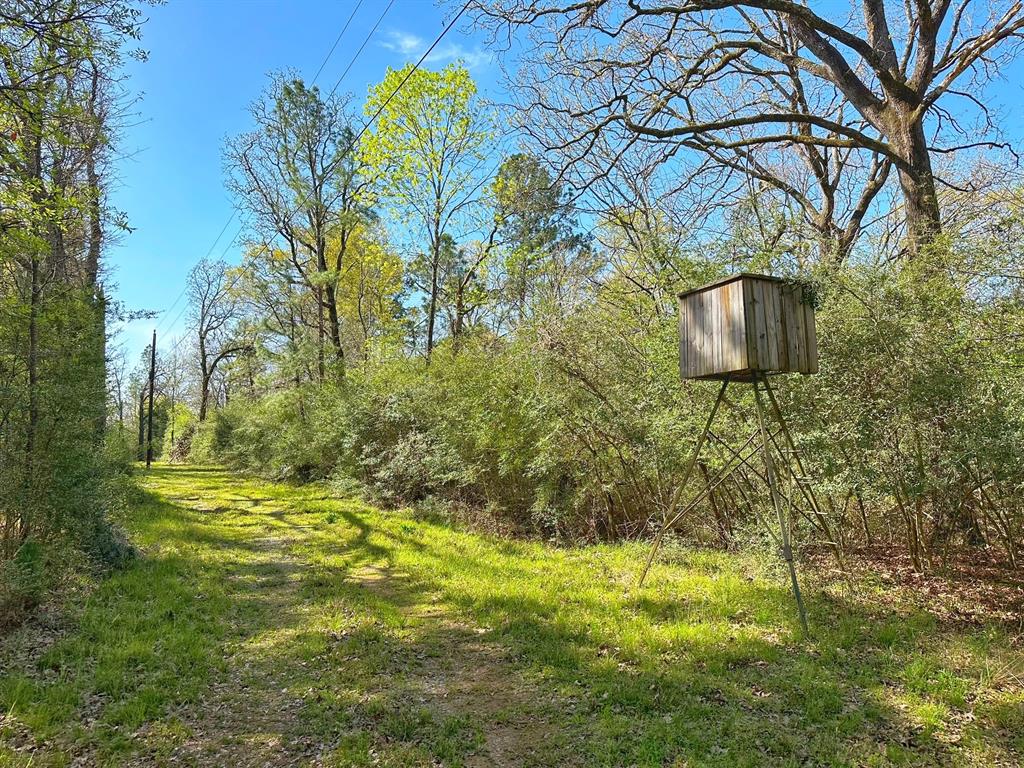 25 Ac Cr 134, Leona, Texas image 3