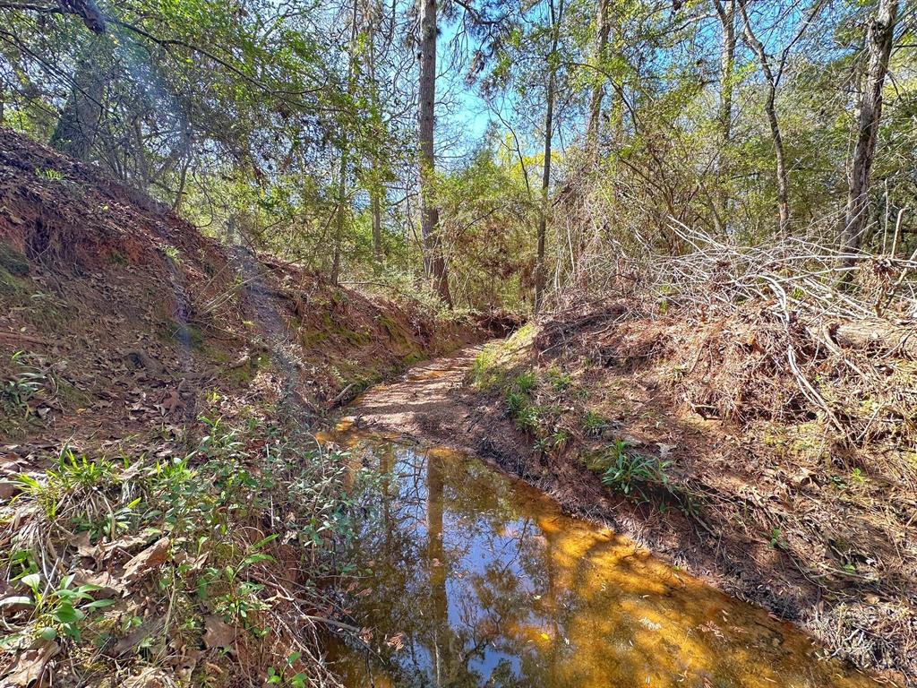 25 Ac Cr 134, Leona, Texas image 1