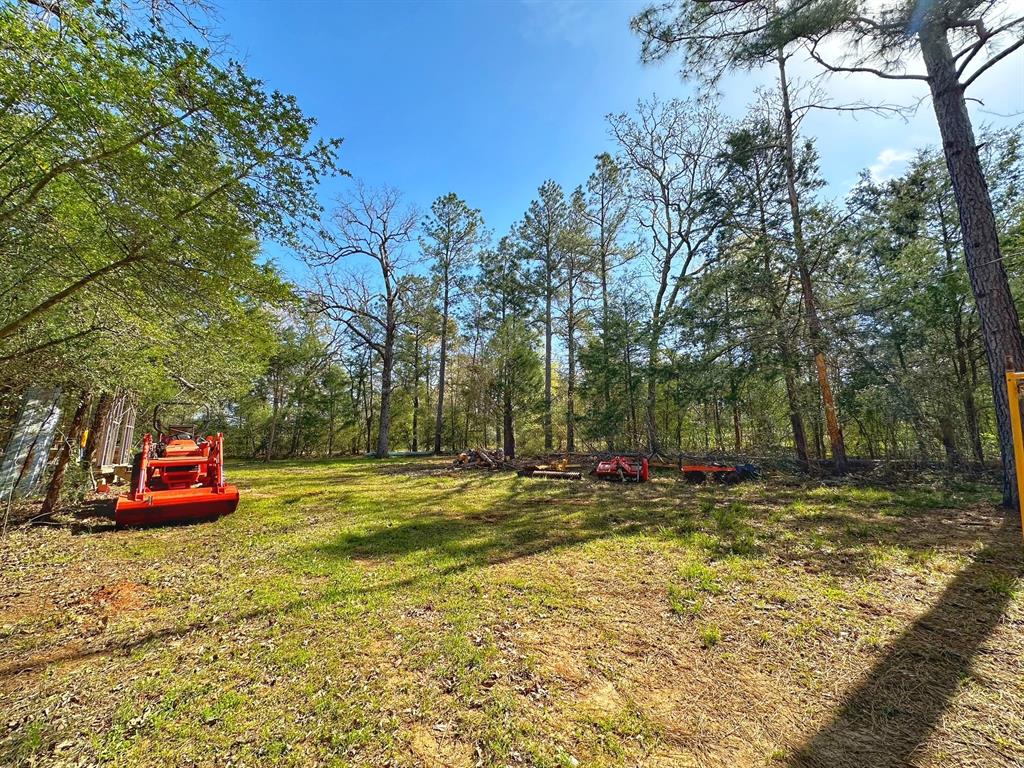 25 Ac Cr 134, Leona, Texas image 7