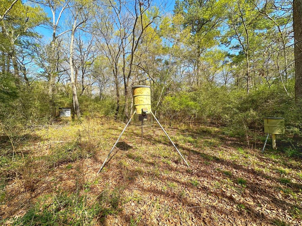 25 Ac Cr 134, Leona, Texas image 4