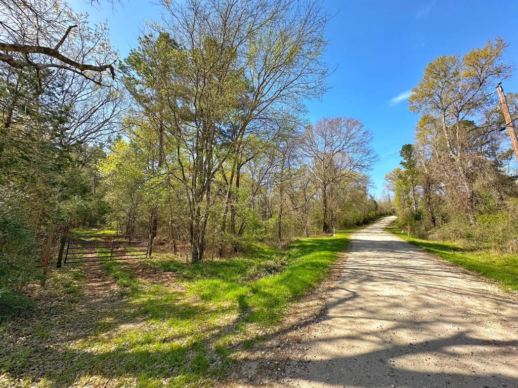 25 Ac Cr 134, Leona, Texas image 12