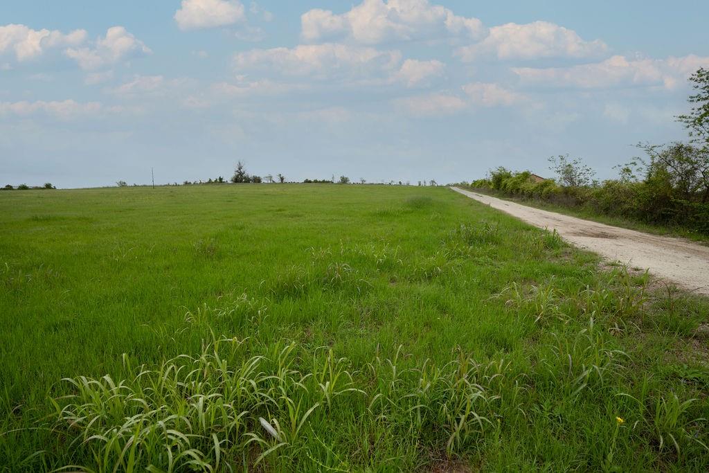 County Road 210, Anderson, Texas image 20