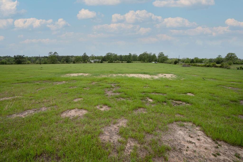 County Road 210, Anderson, Texas image 16