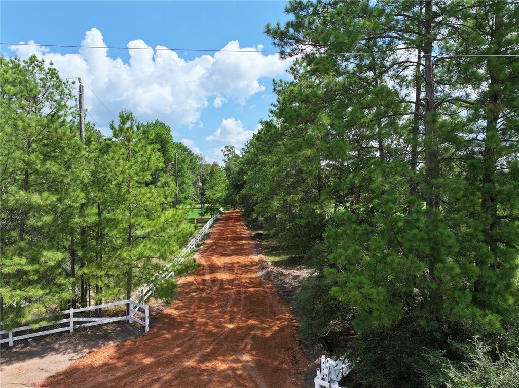 00 Sugar Bend Lot 2, Magnolia, Texas image 11