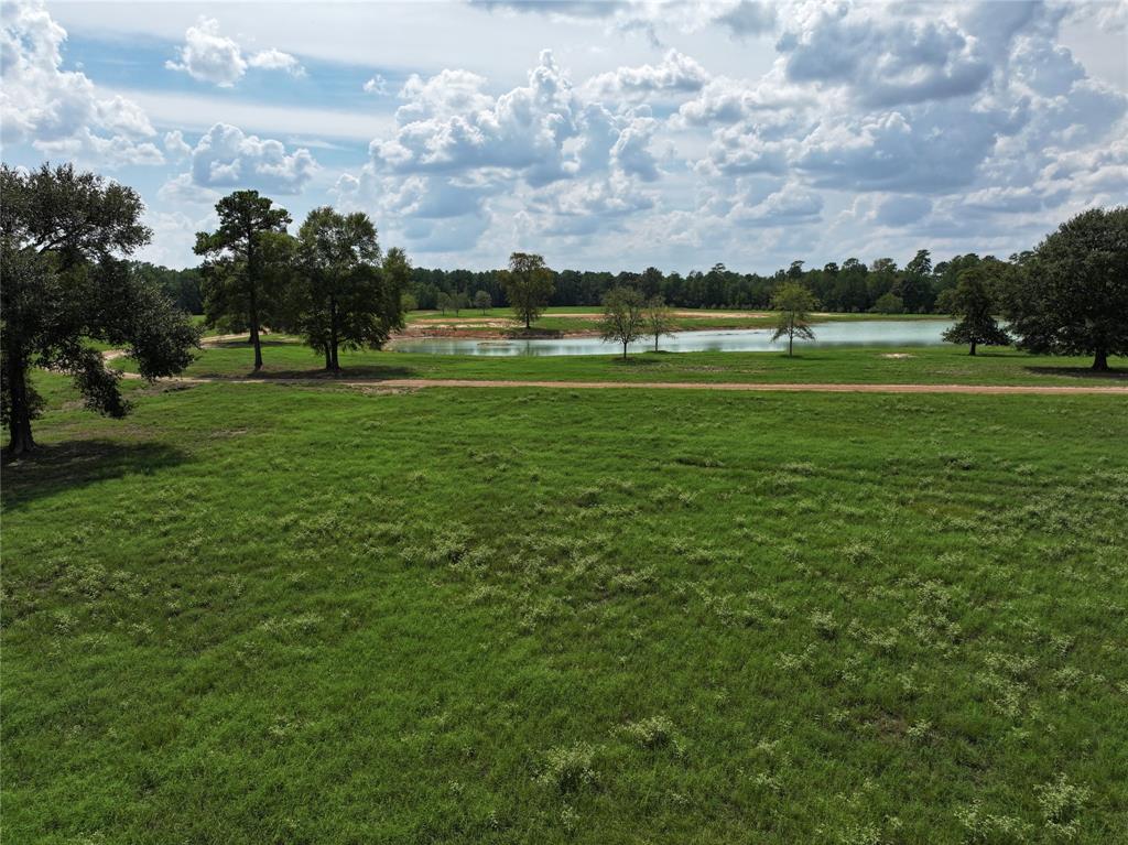 00 Sugar Bend Lot 2, Magnolia, Texas image 13