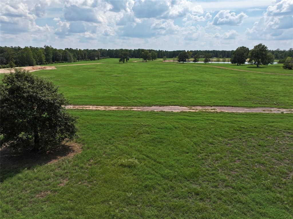 00 Sugar Bend Lot 2, Magnolia, Texas image 12