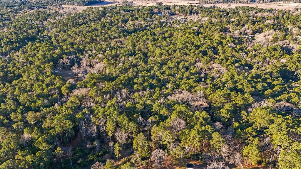 Camp Road, Trinity, Texas image 5