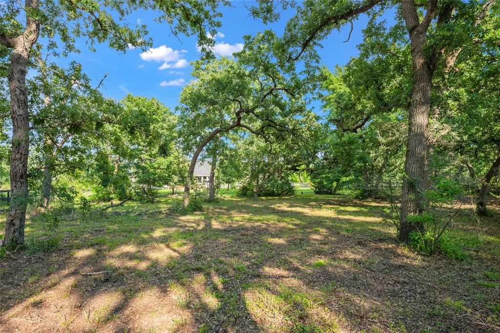 10187 Hampton Court, Iola, Texas image 34