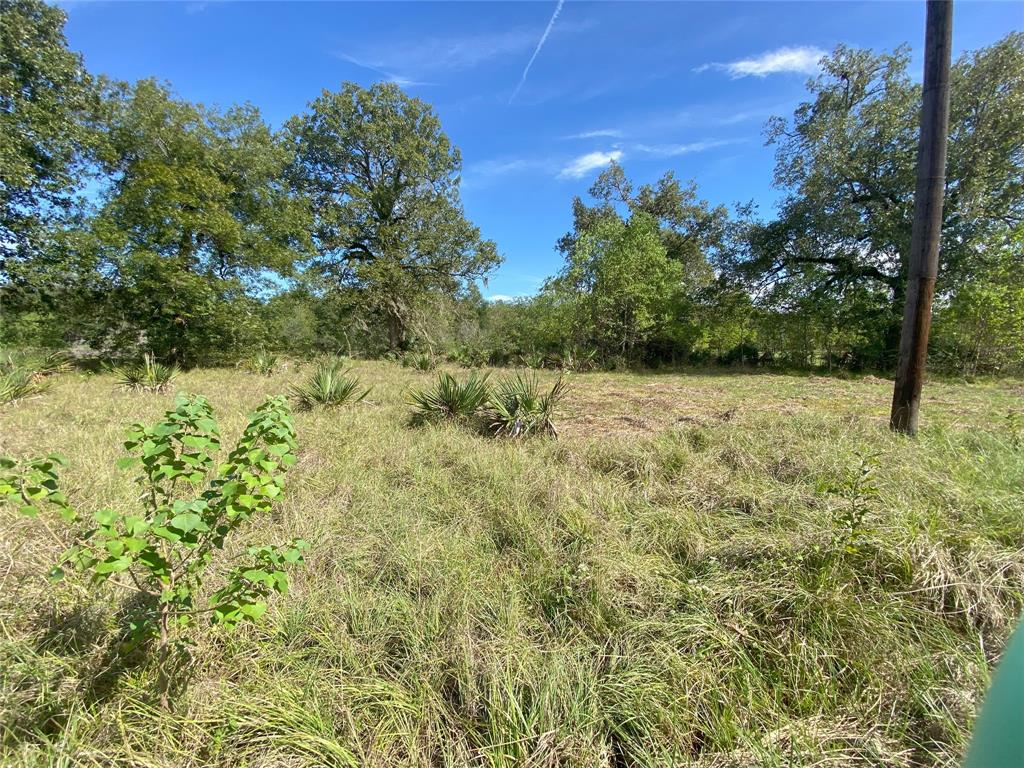 TBD Sour Lake Cir, Cleveland, Texas image 1