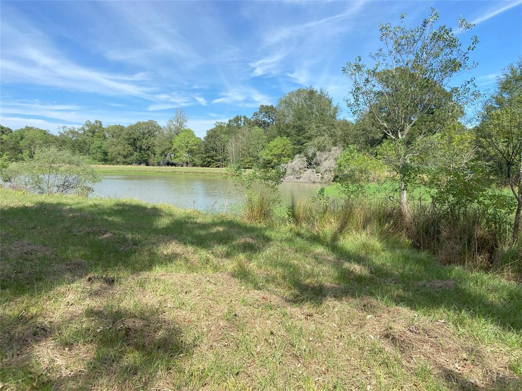 TBD Sour Lake Cir, Cleveland, Texas image 4