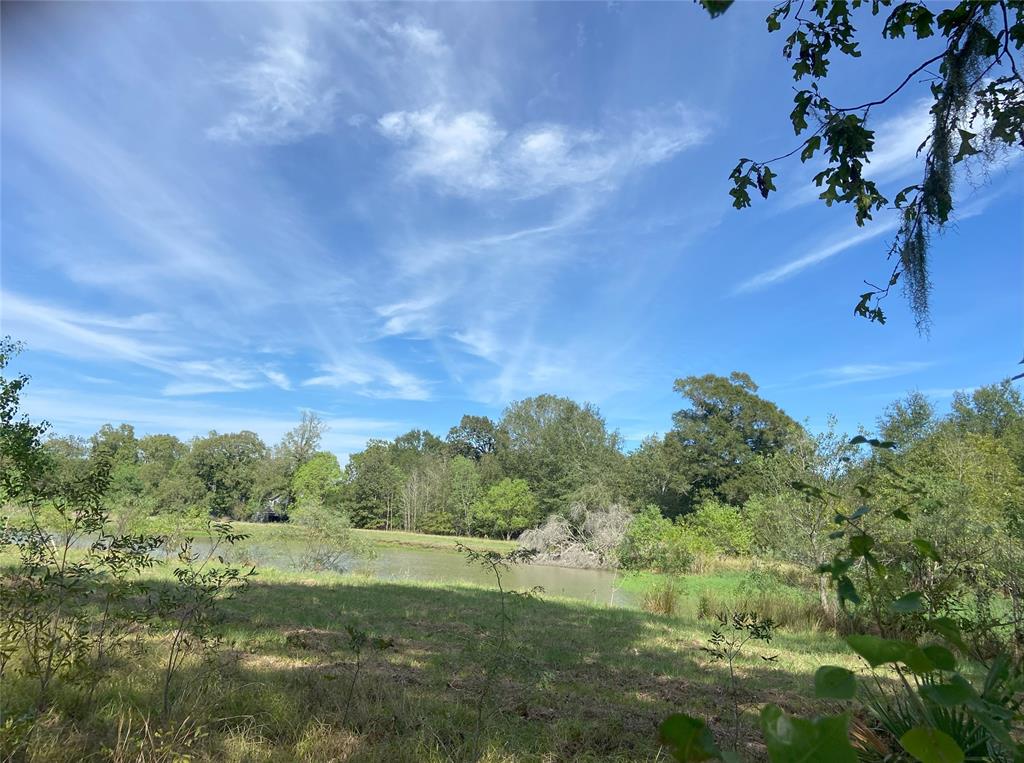 TBD Sour Lake Cir, Cleveland, Texas image 3
