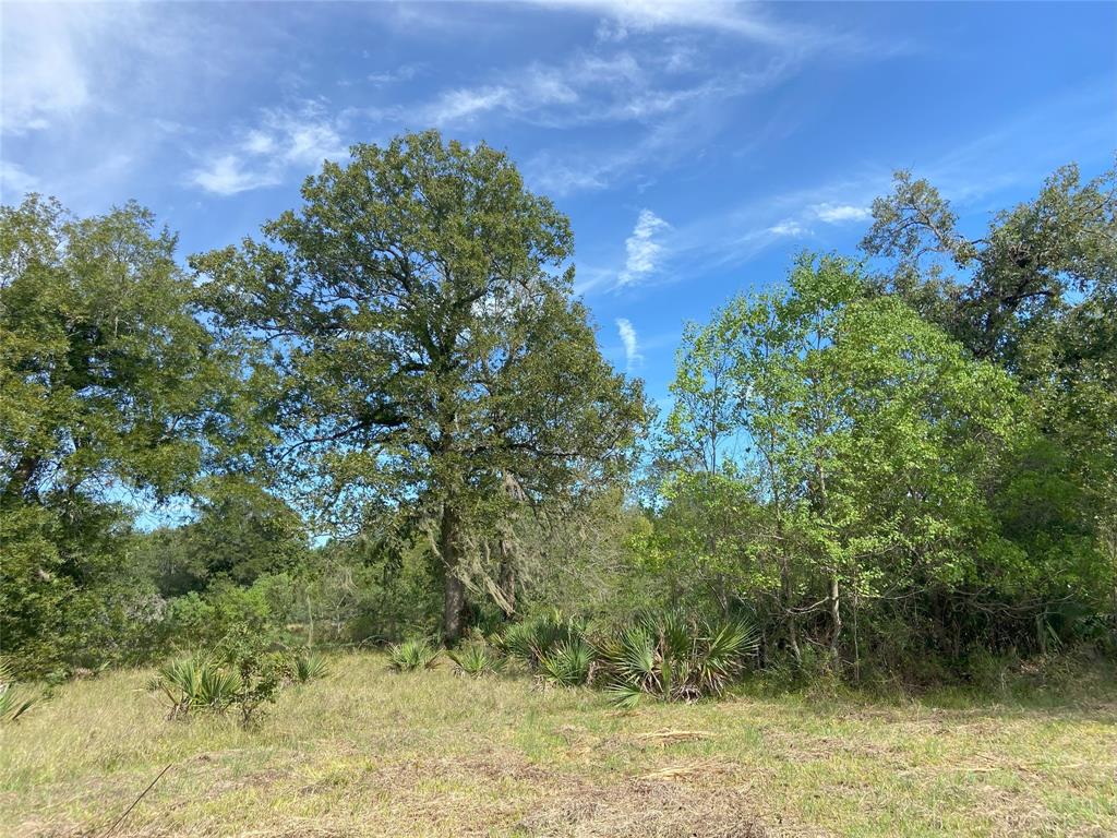 TBD Sour Lake Cir, Cleveland, Texas image 5