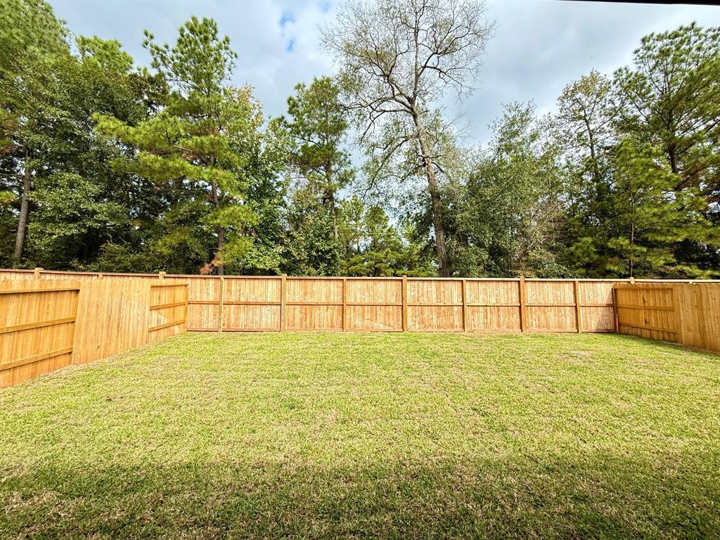 322 Springfield Terrace Drive Dr, Conroe, Texas image 2