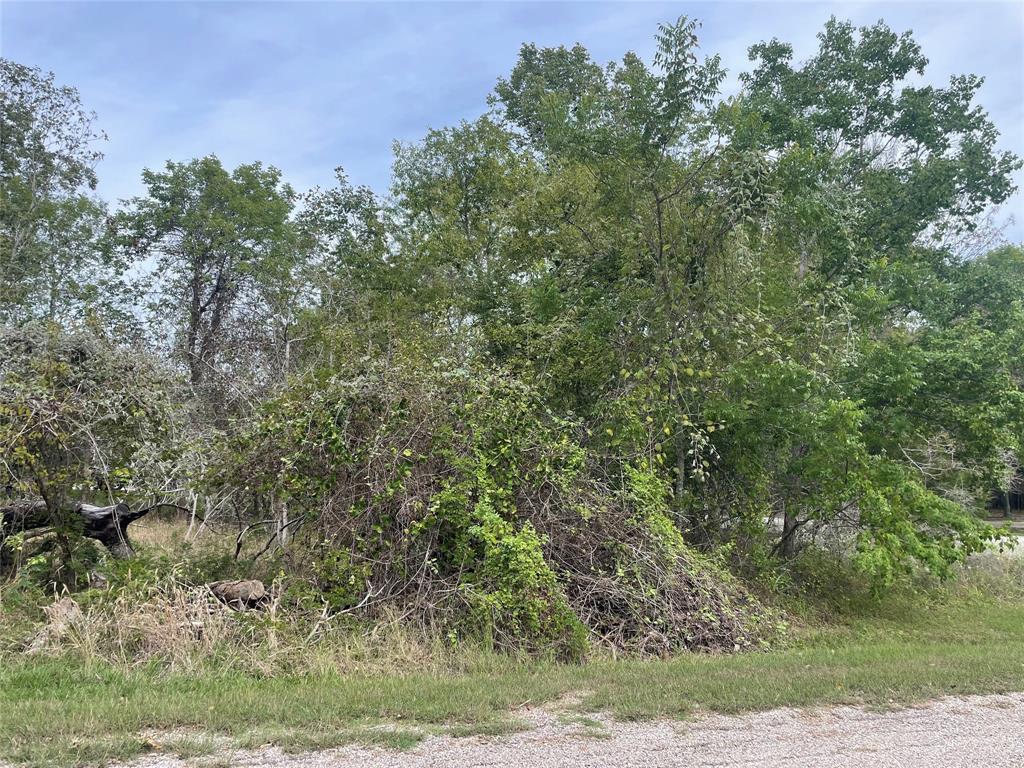 120 N Forest Cove Loop, Coldspring, Texas image 7