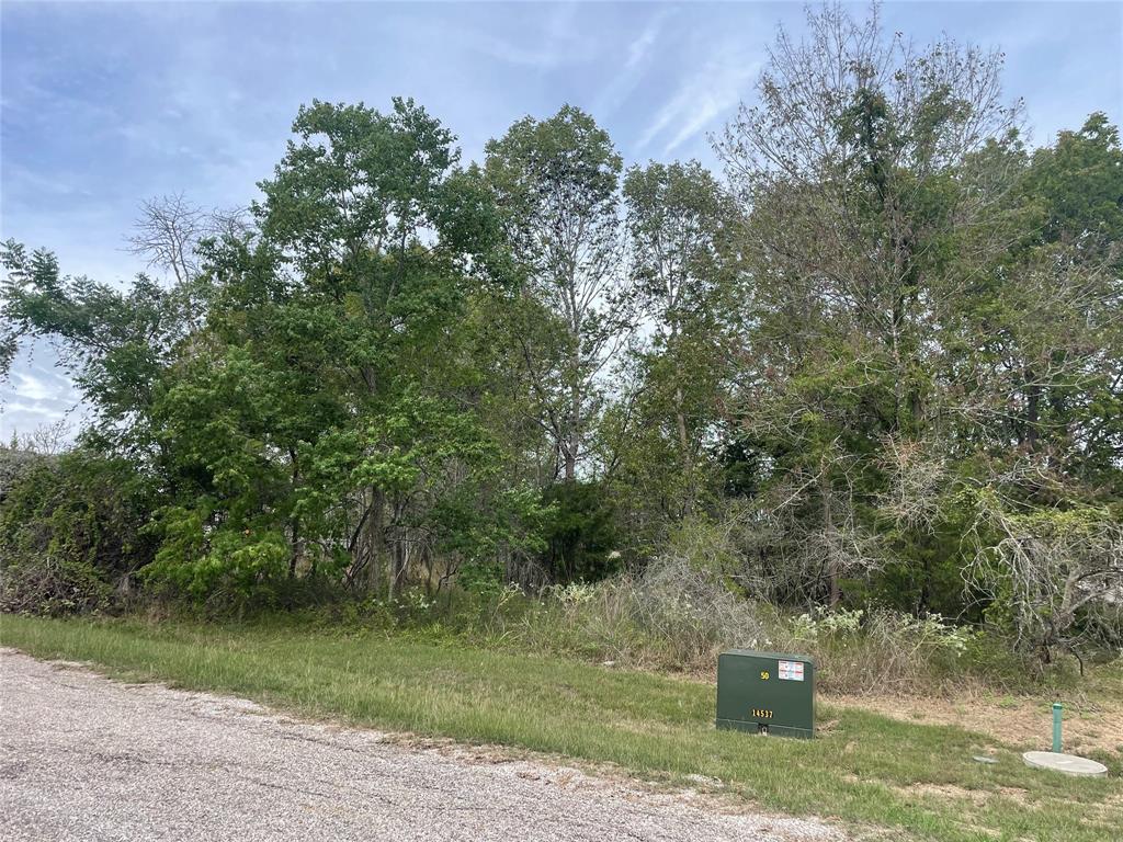 120 N Forest Cove Loop, Coldspring, Texas image 3