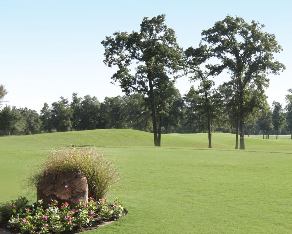 535 Oakview Bend Drive, Montgomery, Texas image 12