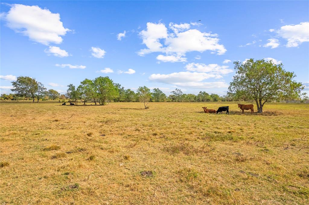 18926 Kermier Road, Hockley, Texas image 12