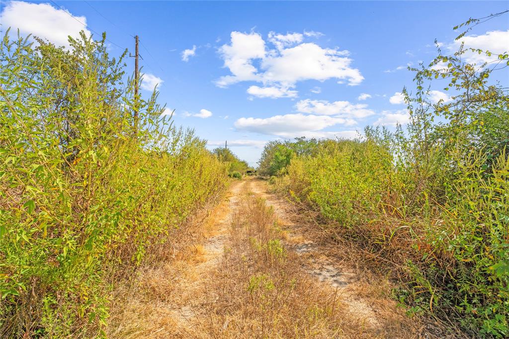 18926 Kermier Road, Hockley, Texas image 5