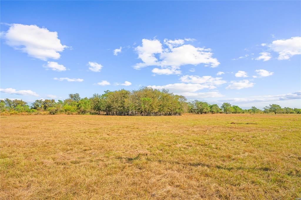 18926 Kermier Road, Hockley, Texas image 11