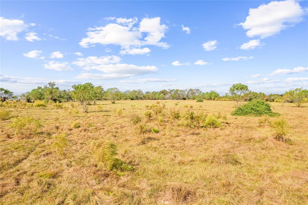 18926 Kermier Road, Hockley, Texas image 14