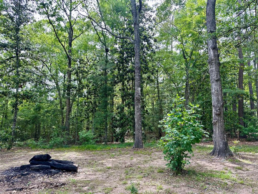 202 Spring Creek Loop, Livingston, Texas image 6