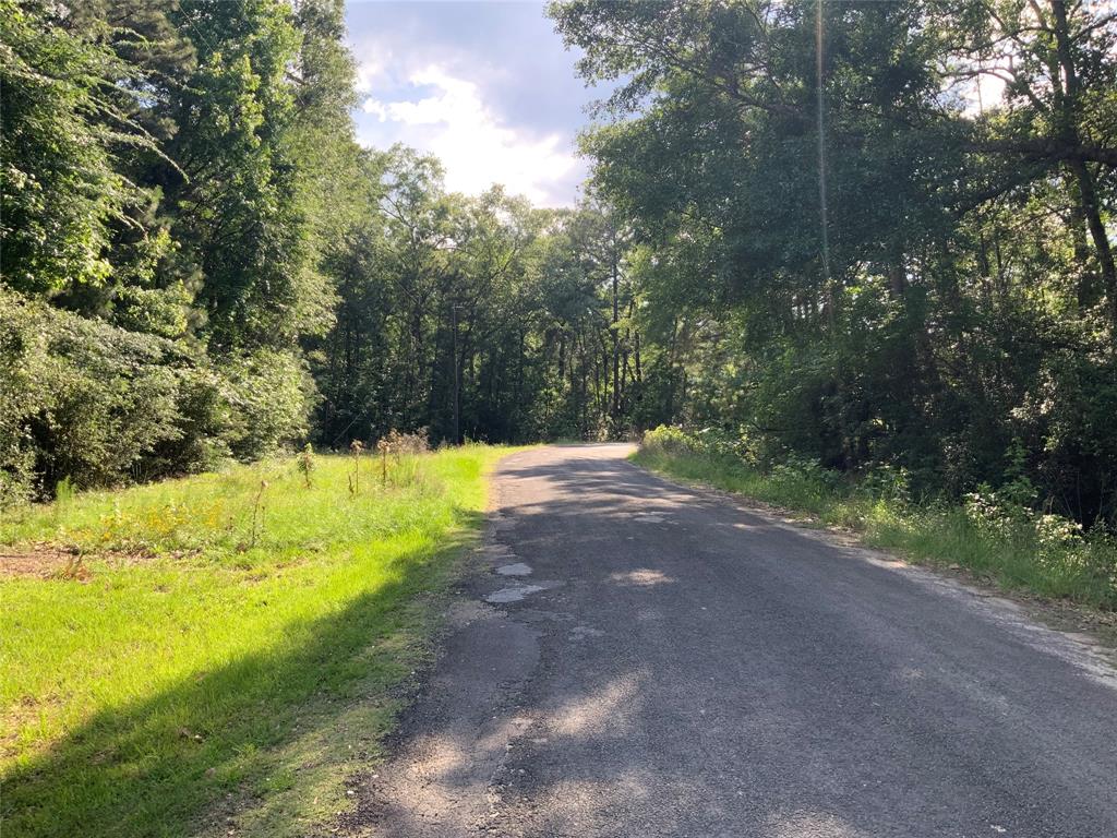 202 Spring Creek Loop, Livingston, Texas image 31