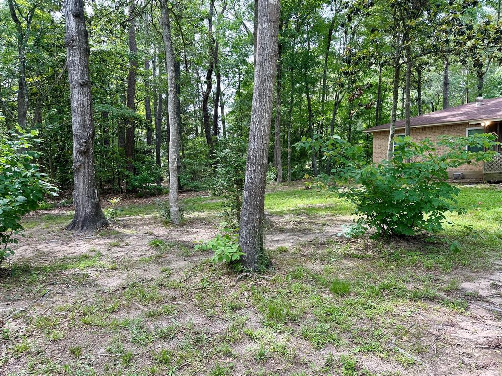 202 Spring Creek Loop, Livingston, Texas image 7