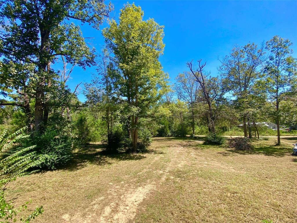 193 Bonnie Blue Lane, Livingston, Texas image 5