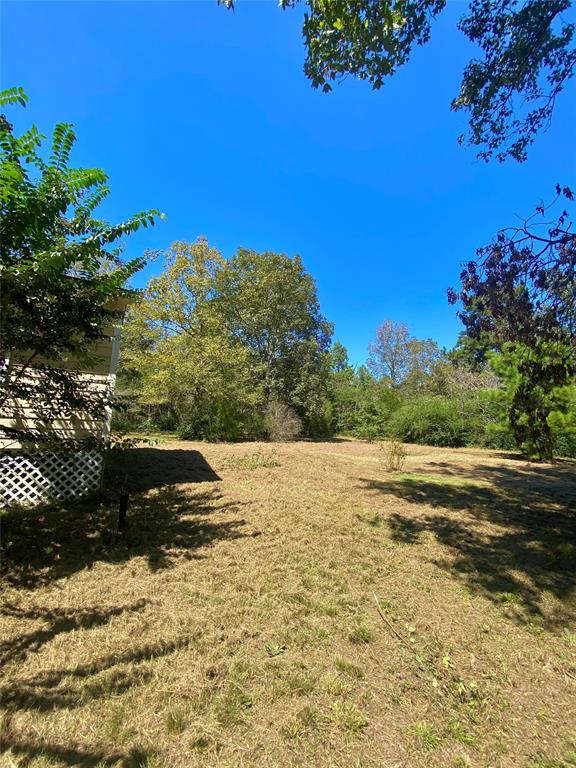 193 Bonnie Blue Lane, Livingston, Texas image 22