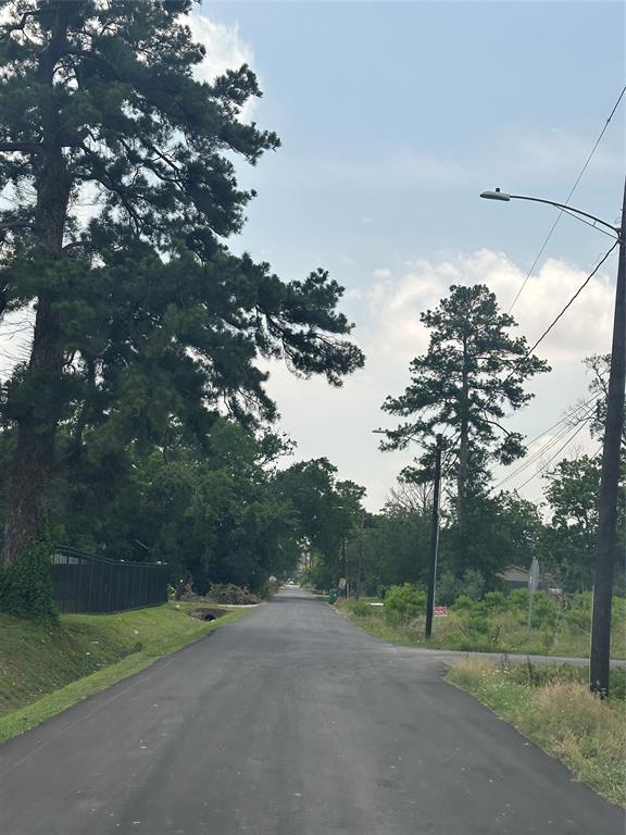 Adolph Drive, Houston, Texas image 2