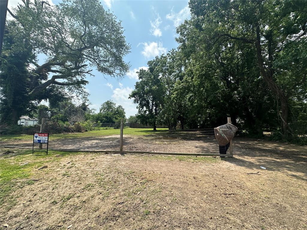 Adolph Drive, Houston, Texas image 7