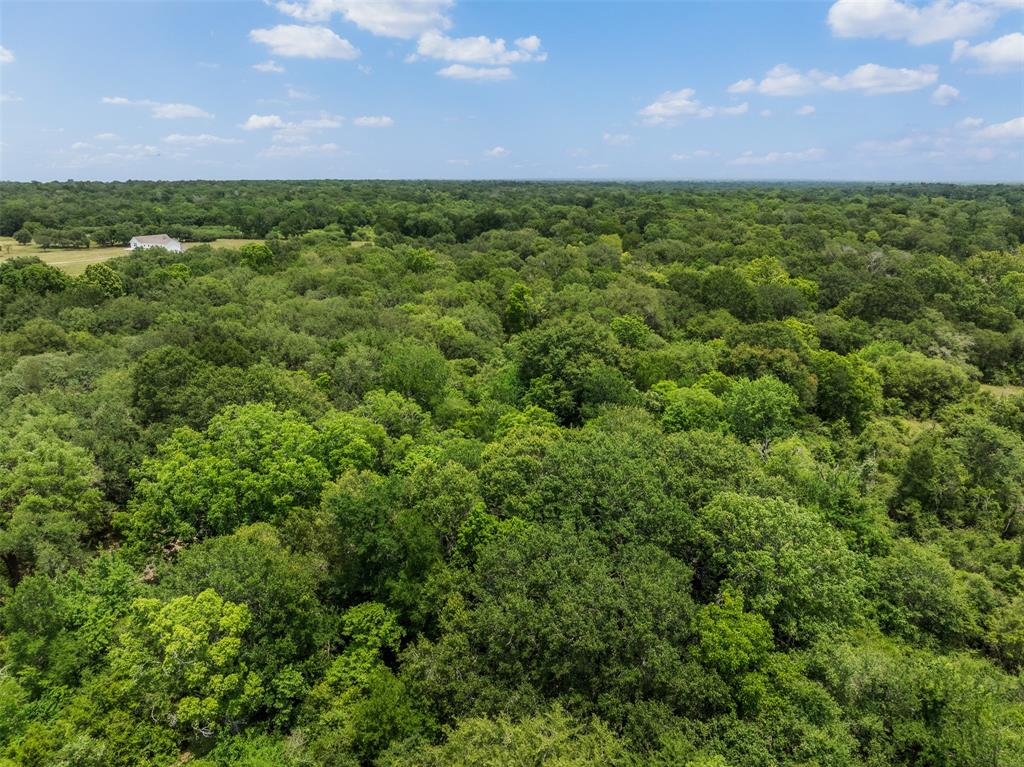0000 Pickens Road, Washington, Texas image 17