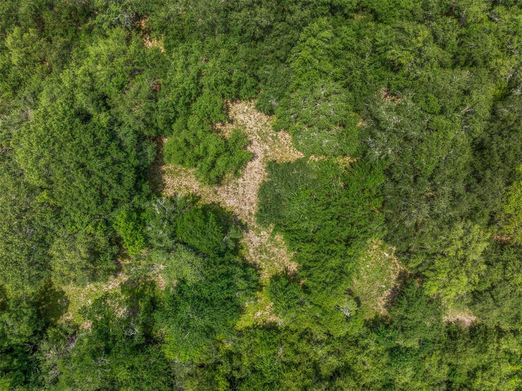 0000 Pickens Road, Washington, Texas image 18