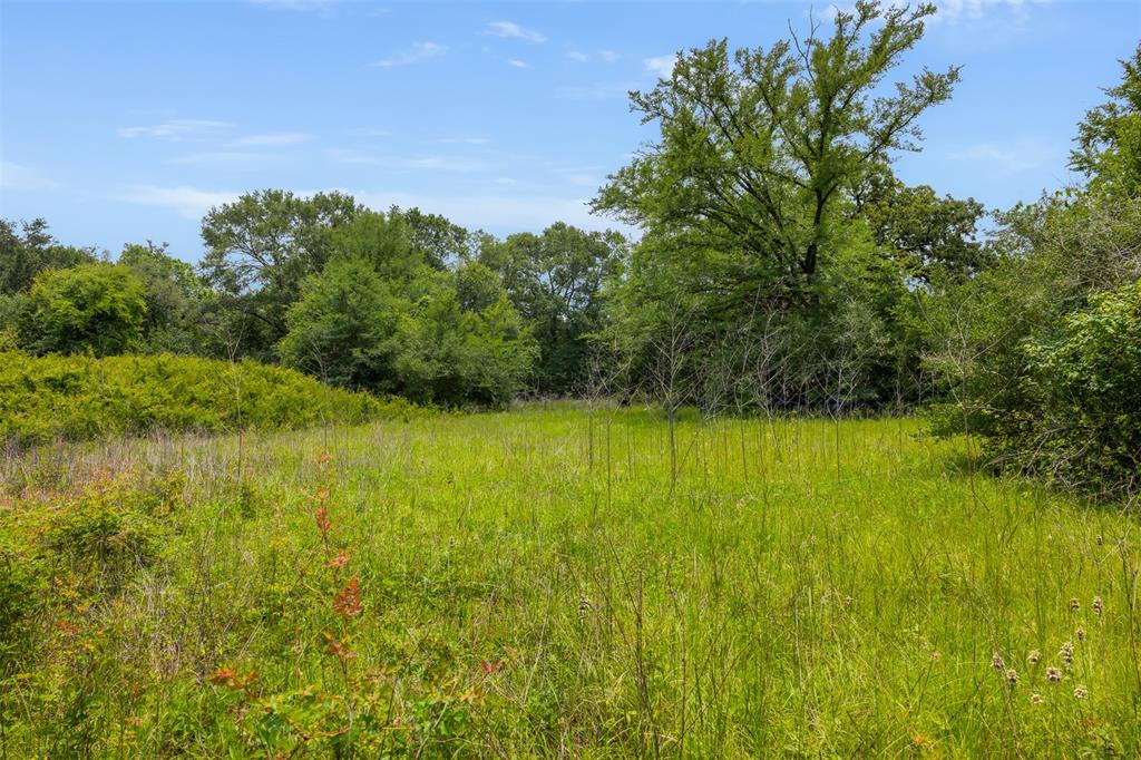 0000 Pickens Road, Washington, Texas image 3
