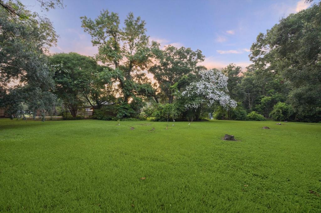 178 W County Road 136, Alvin, Texas image 43