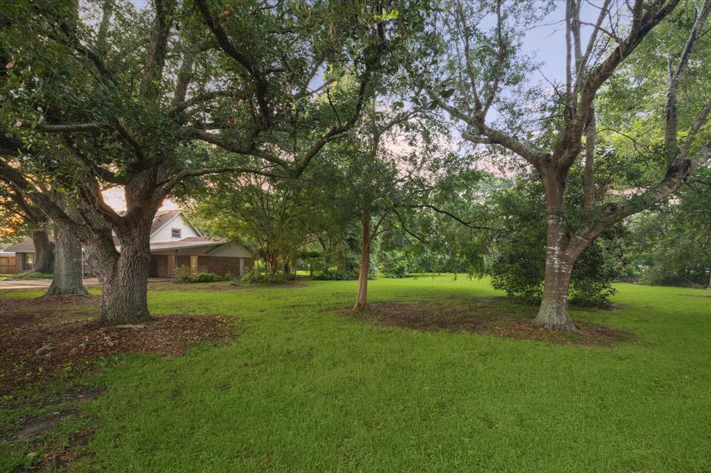 178 W County Road 136, Alvin, Texas image 41