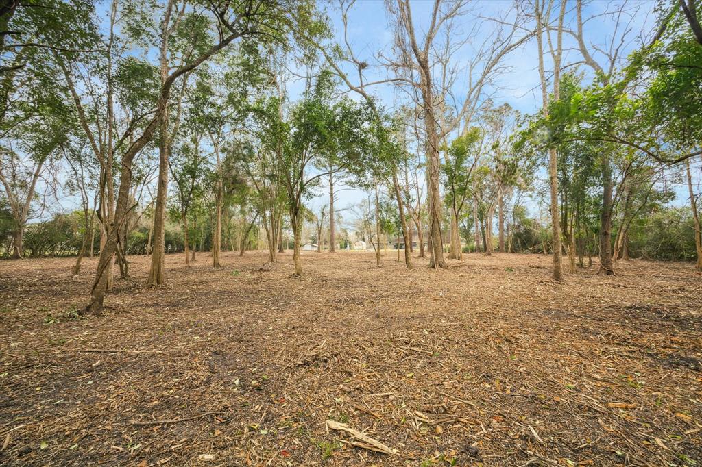 178 W County Road 136, Alvin, Texas image 42
