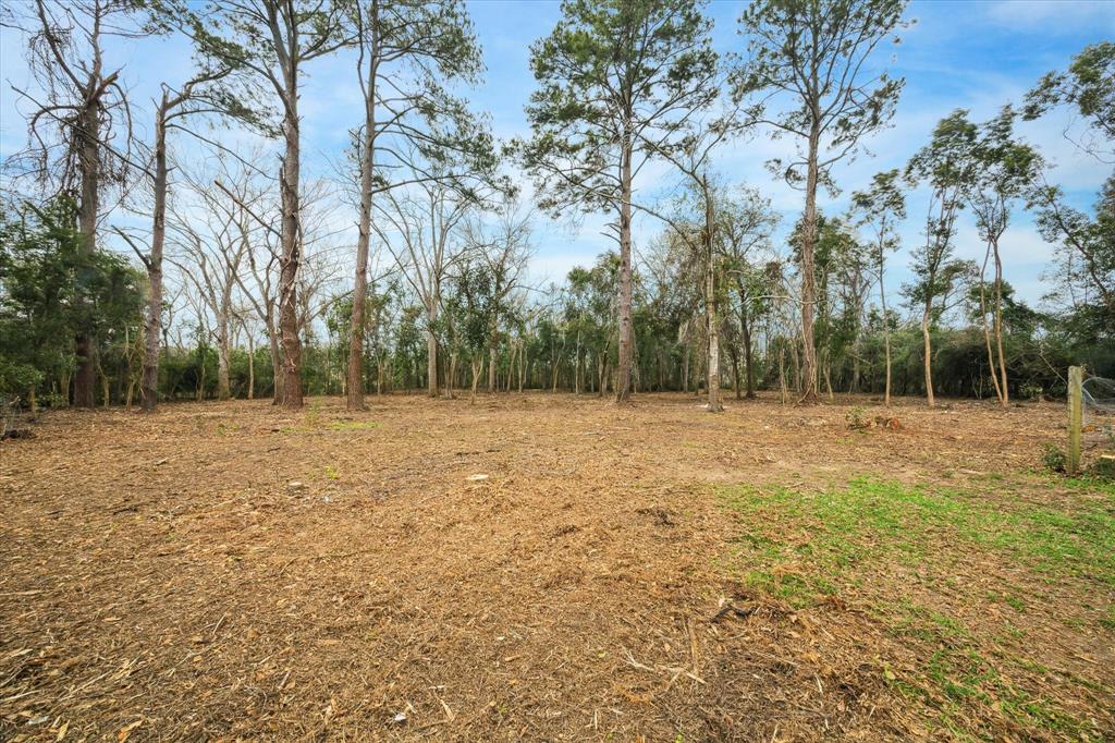178 W County Road 136, Alvin, Texas image 48