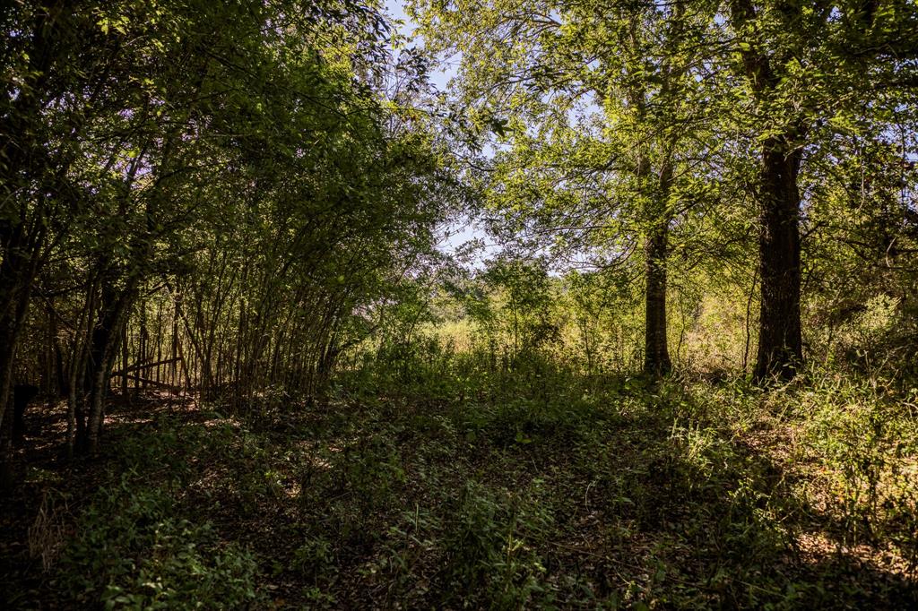 2725 Happy Hollow Road, Brenham, Texas image 16