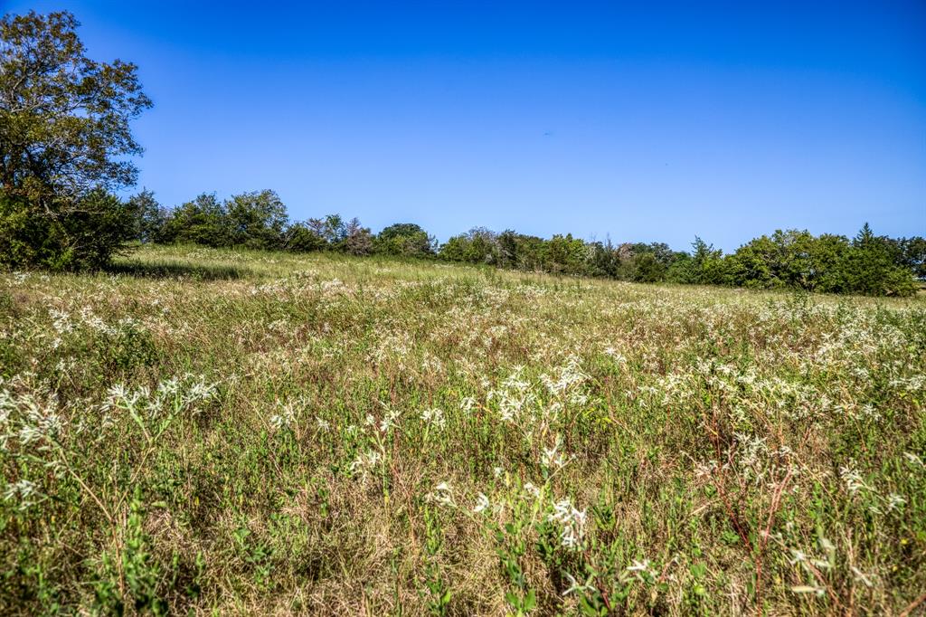 2725 Happy Hollow Road, Brenham, Texas image 28