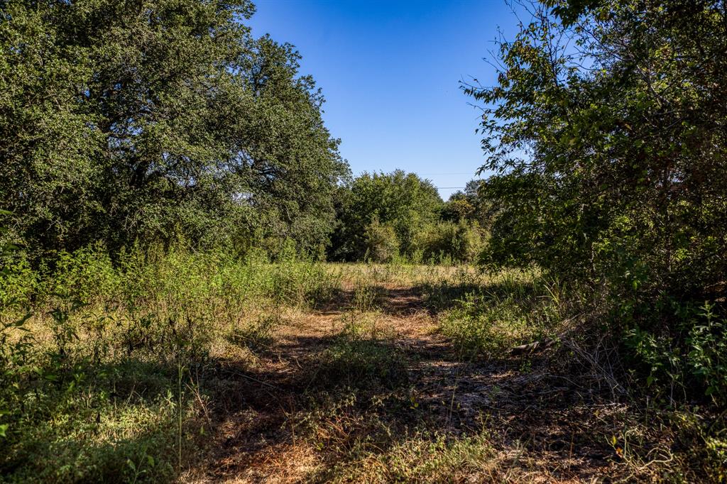 2725 Happy Hollow Road, Brenham, Texas image 29