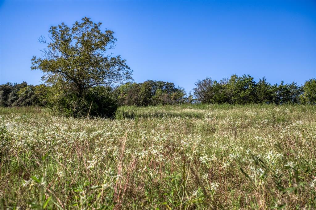 2725 Happy Hollow Road, Brenham, Texas image 14