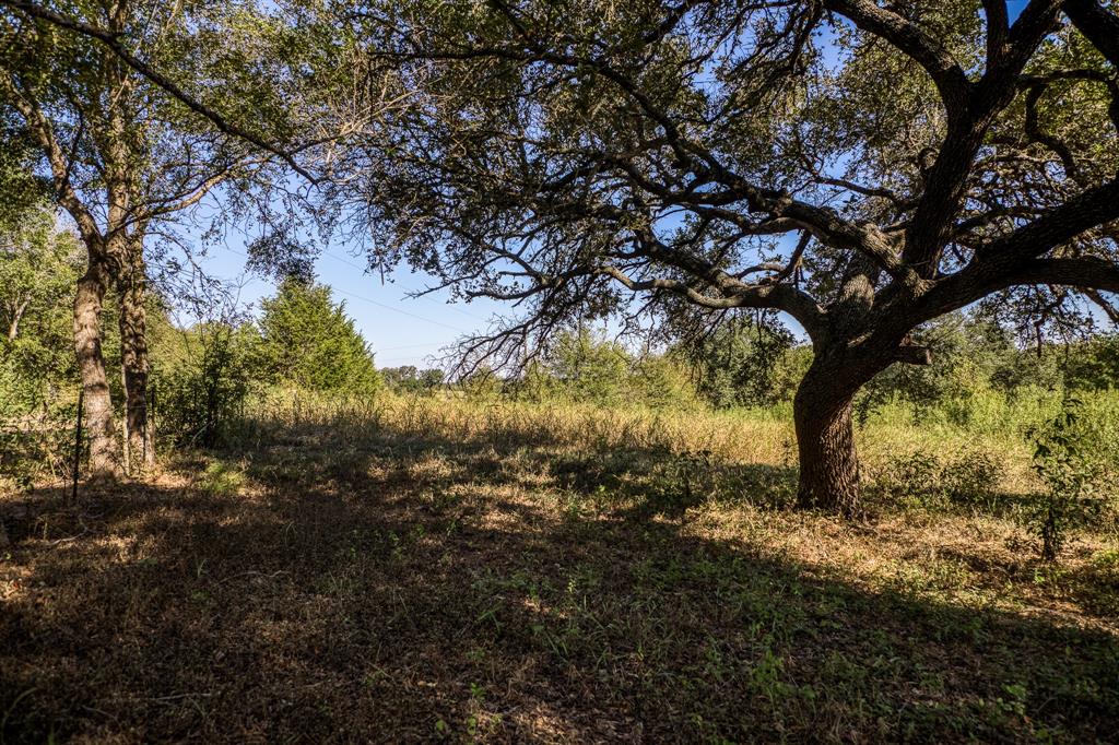 2725 Happy Hollow Road, Brenham, Texas image 9