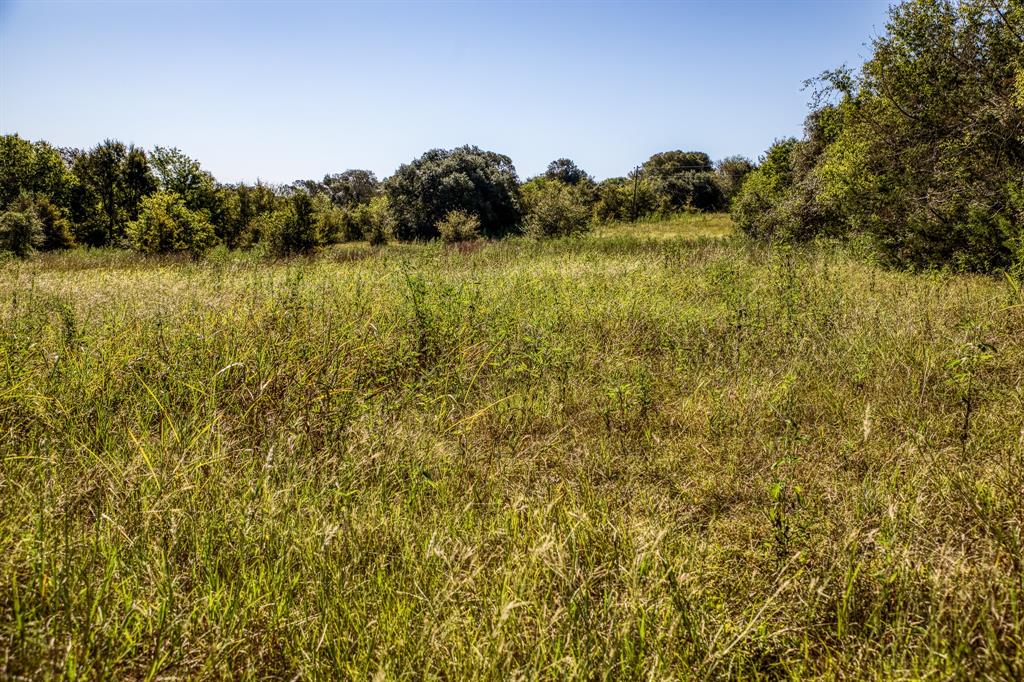 2725 Happy Hollow Road, Brenham, Texas image 11