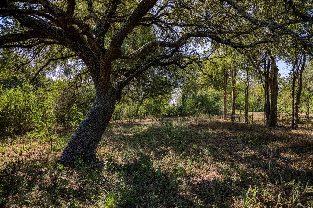 2725 Happy Hollow Road, Brenham, Texas image 17