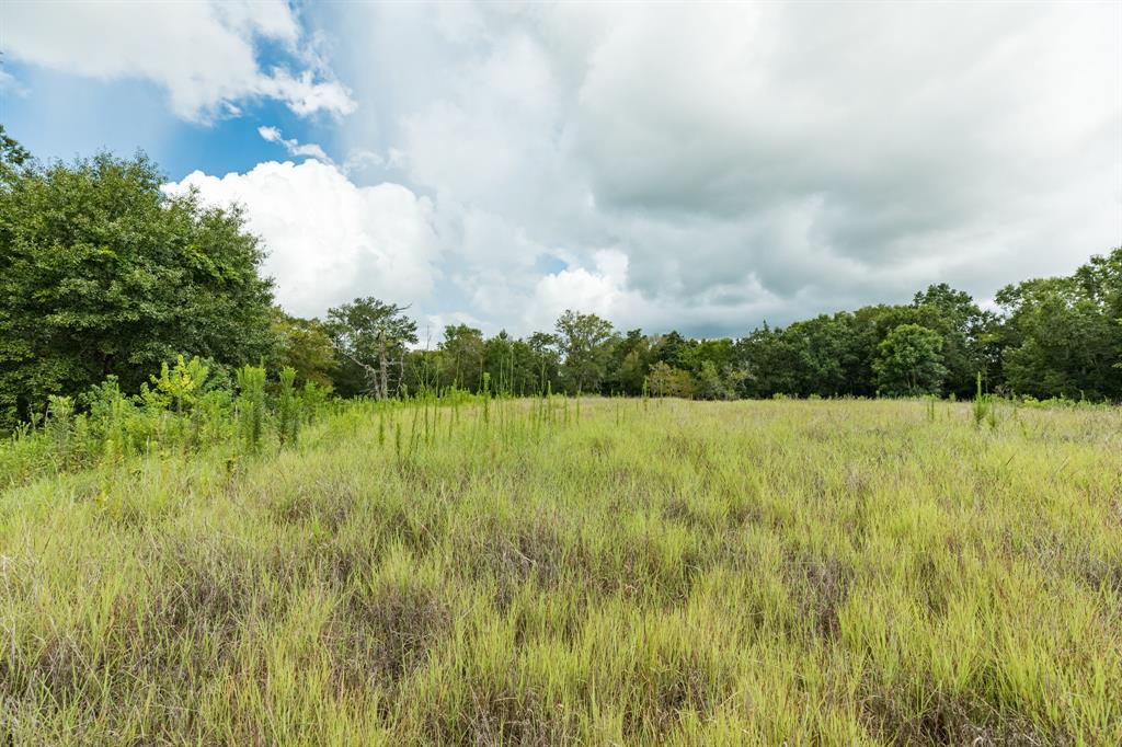 2416 Airline Drive, Friendswood, Texas image 8