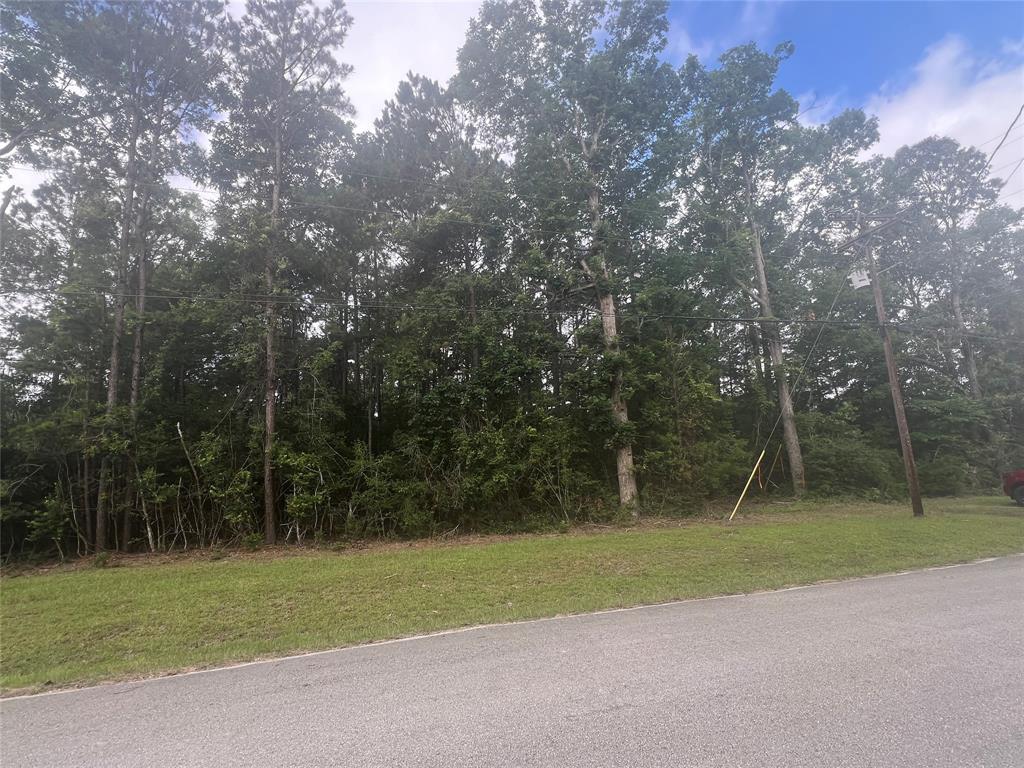 319 Lost Lake Trail, Livingston, Texas image 2